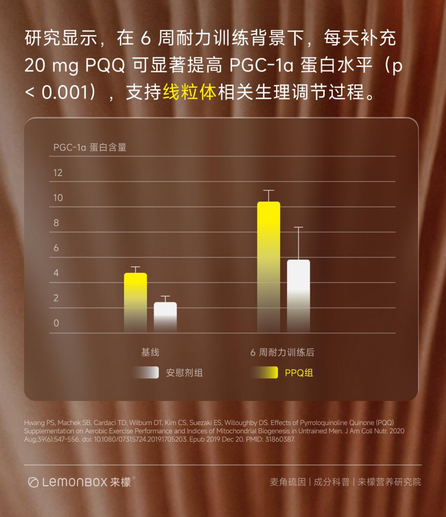 PQQ 研究