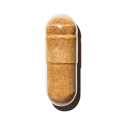 Bacopa Monniera Extract